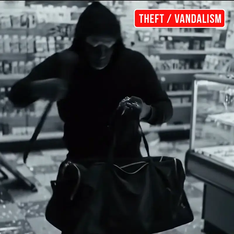 Public adjuster reviewing theft and vandalism property damage in Pennsylvania